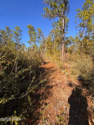 $128,000 | 23588 Lamont Road, Fountain, FL 32438