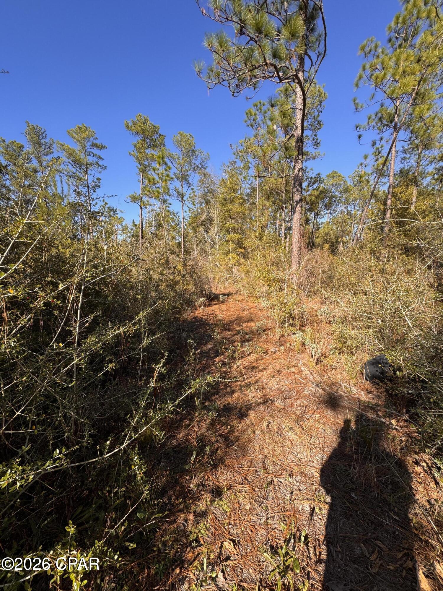 23588 Lamont Road Fountain, FL 32438 - Photo 15 of 28