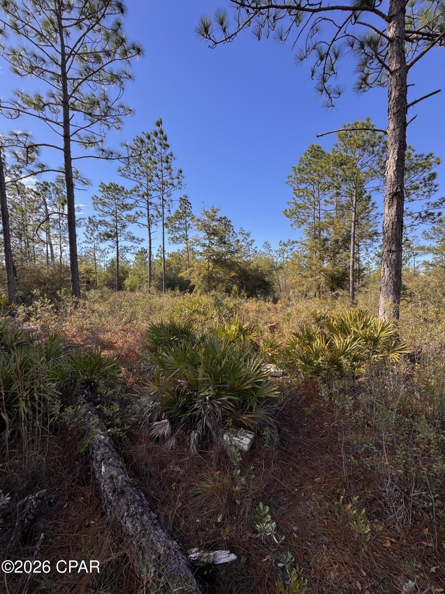 23588 Lamont Road Fountain, FL 32438 - Photo 23 of 28