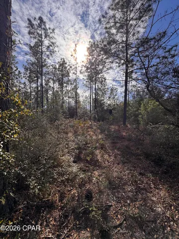 $128,000 | 23588 Lamont Road, Fountain, FL 32438