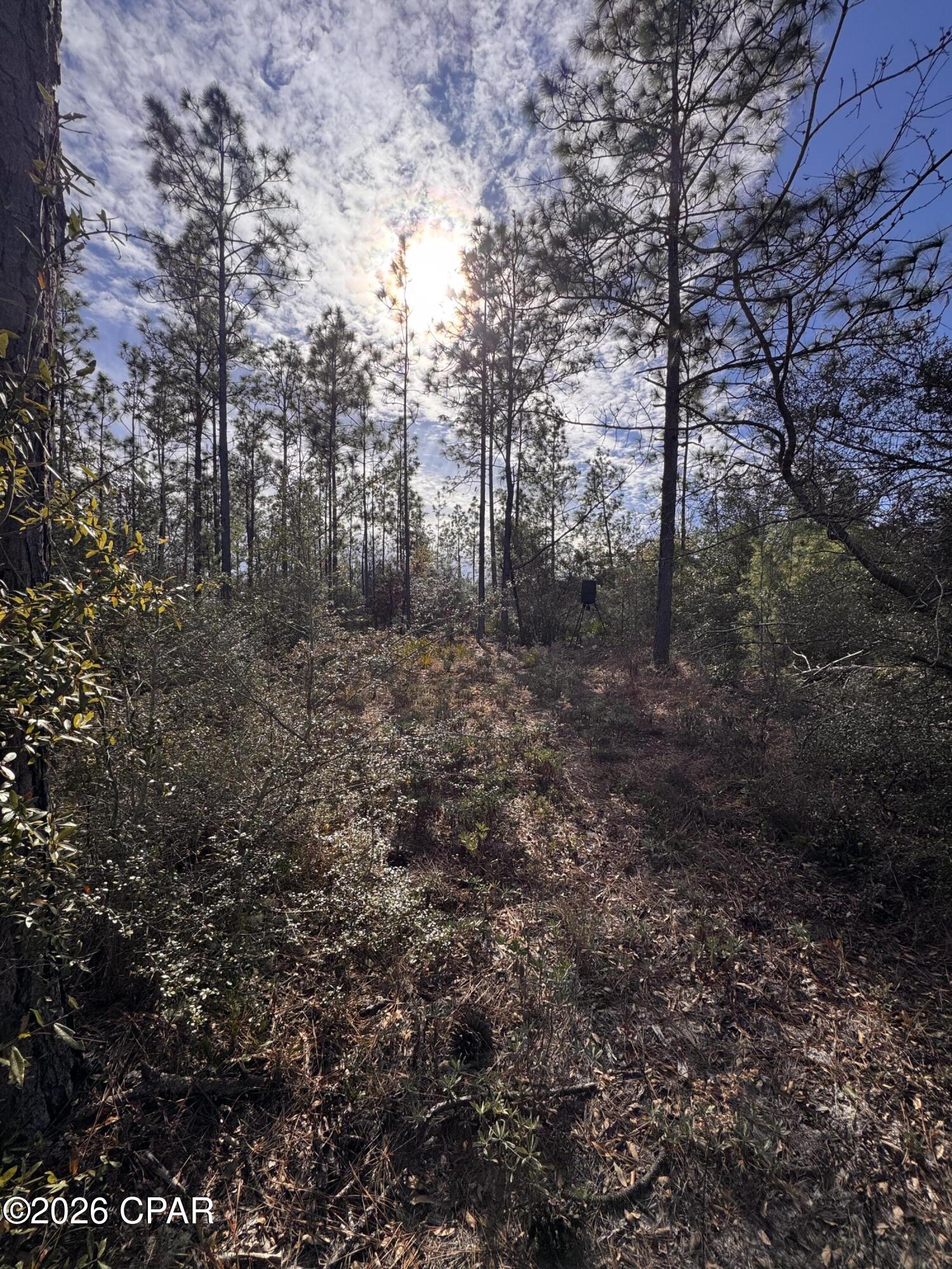 23588 Lamont Road Fountain, FL 32438 - Photo 24 of 28