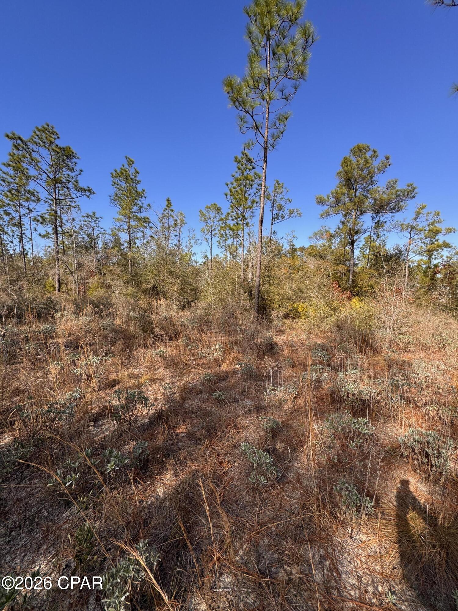 23588 Lamont Road Fountain, FL 32438 - Photo 25 of 28