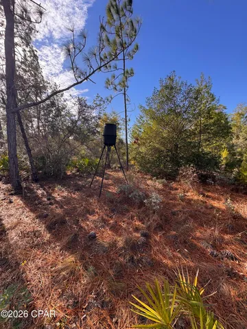 $128,000 | 23588 Lamont Road, Fountain, FL 32438