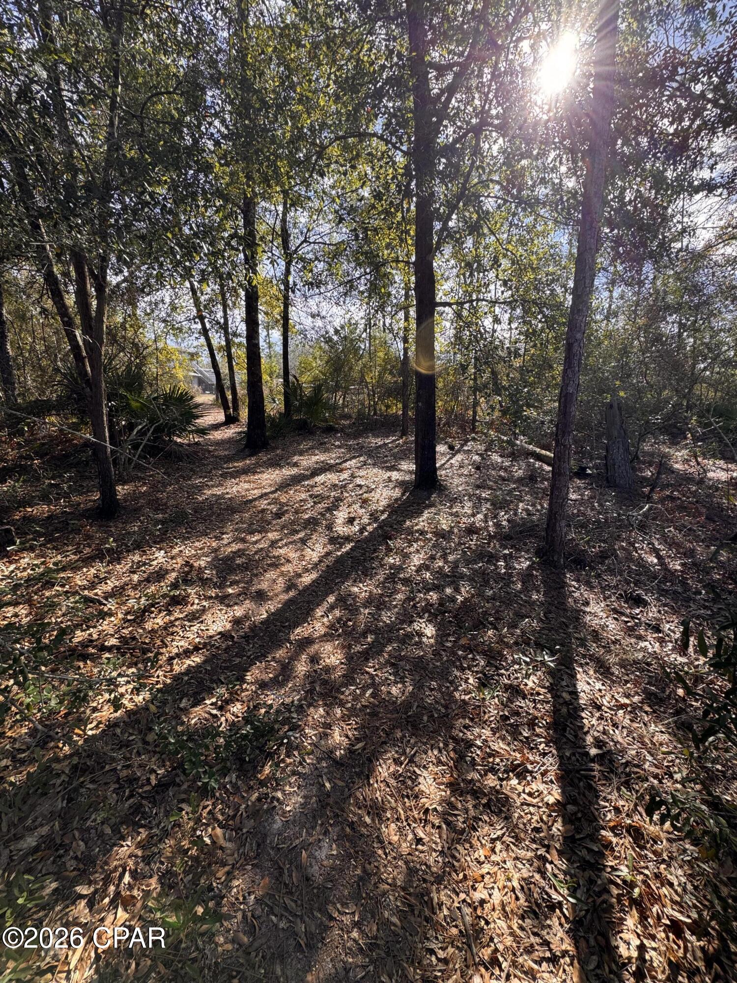 23588 Lamont Road Fountain, FL 32438 - Photo 7 of 28