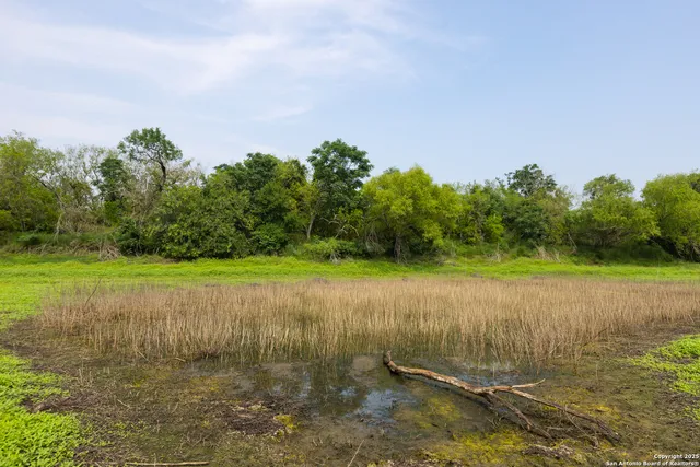 a view of a field with an trees