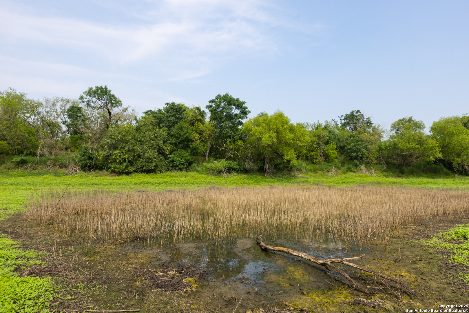 0 Shepherd Road Atascosa, TX 78002 - Photo 11 of 29 a view of a field with an trees