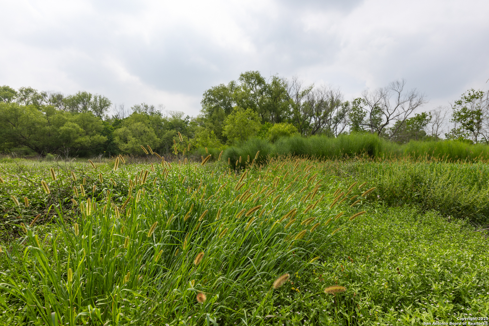 0 Shepherd Road Atascosa, TX 78002 - Photo 15 of 29 a view of a lush green space