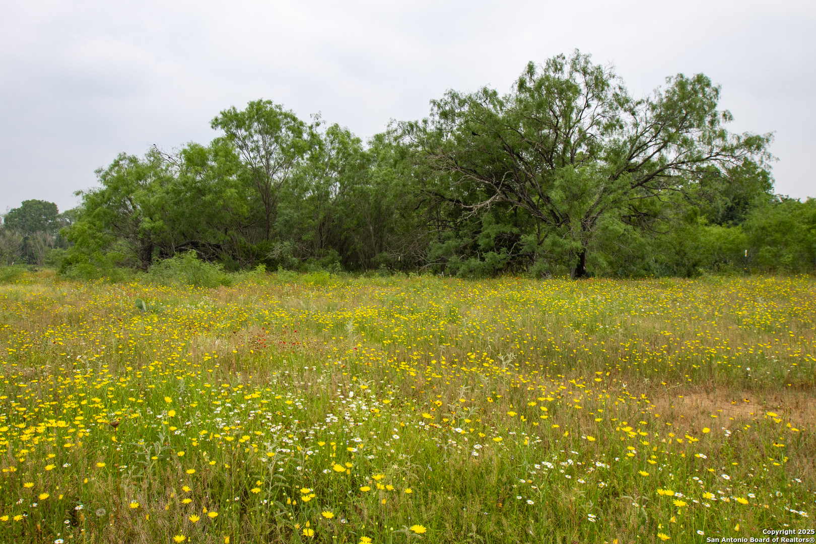 0 Shepherd Road Atascosa, TX 78002 - Photo 20 of 29 a view of yard with swimming pool and outdoor seating