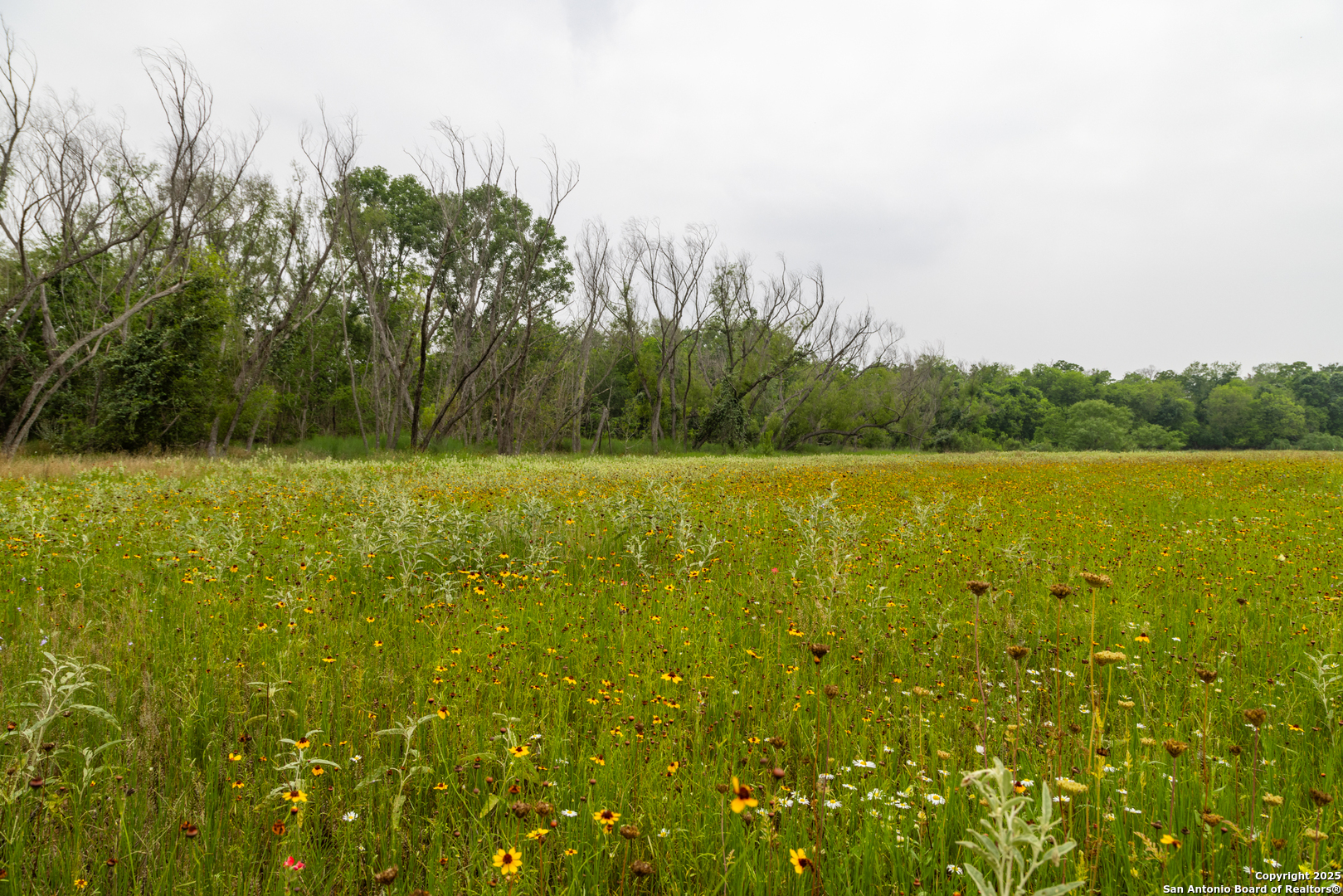 0 Shepherd Road Atascosa, TX 78002 - Photo 2 of 29 a view of a lake view