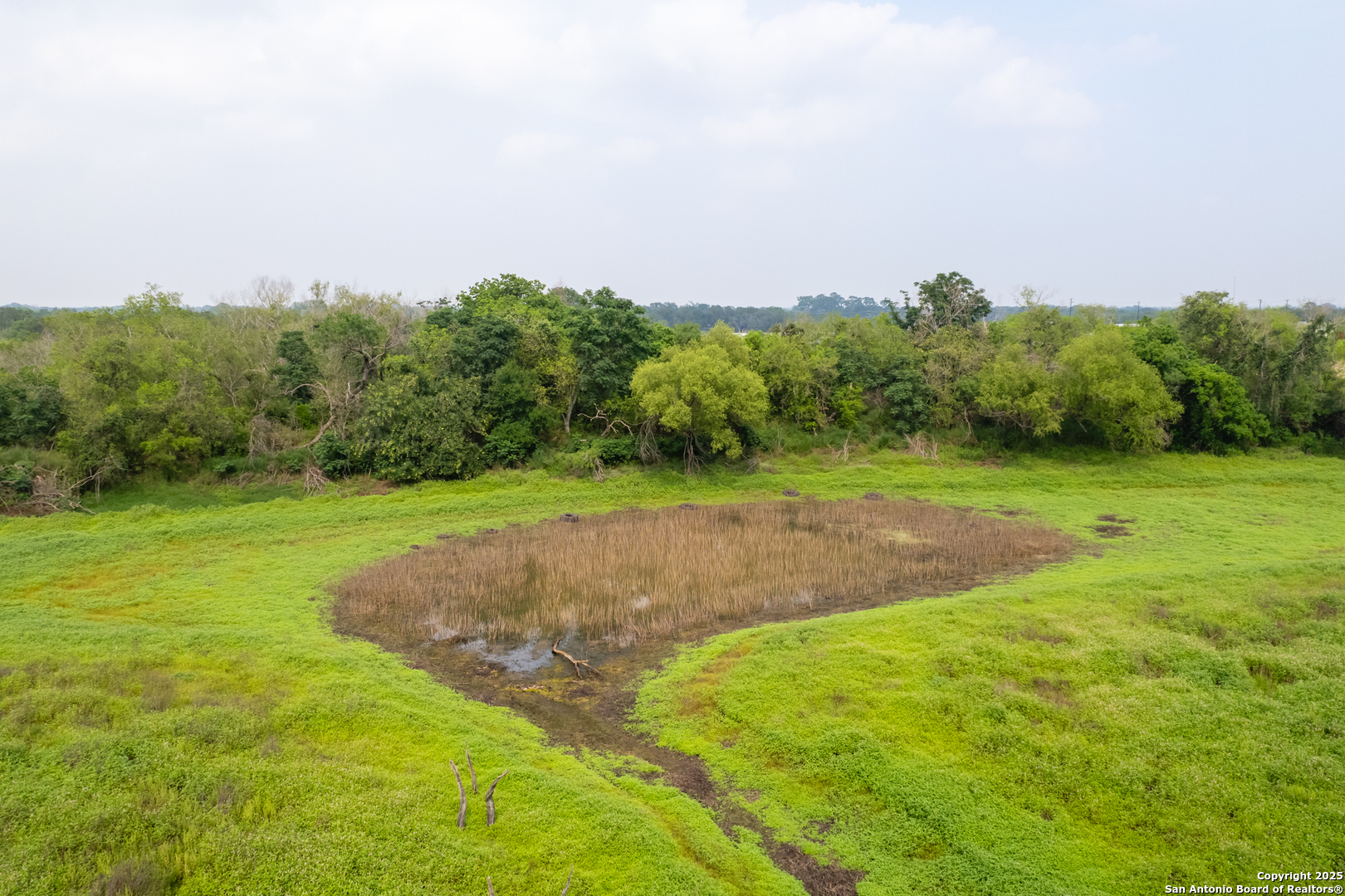 0 Shepherd Road Atascosa, TX 78002 - Photo 23 of 29 a view of a field with trees in background