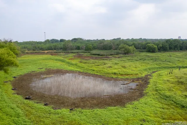 a view of a field with an trees
