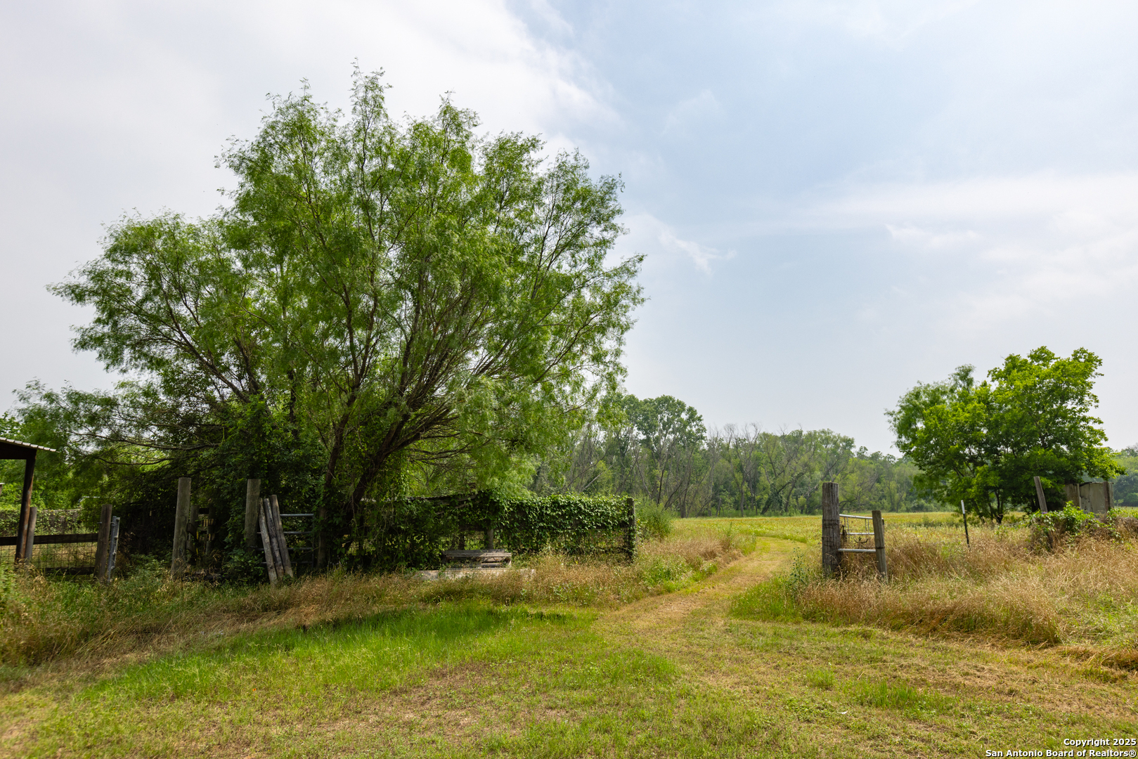 0 Shepherd Road Atascosa, TX 78002 - Photo 7 of 29 a view of a lake view