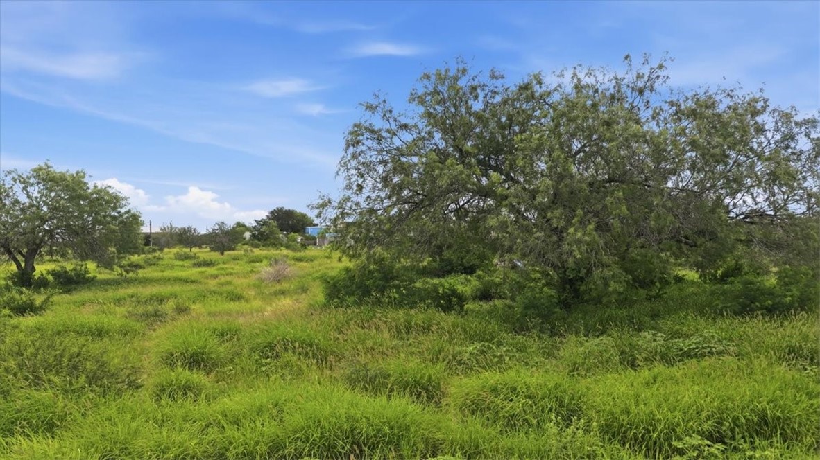 3187 Highway 72 Three Rivers, TX 78071 - Photo 5 of 13 a view of a green field