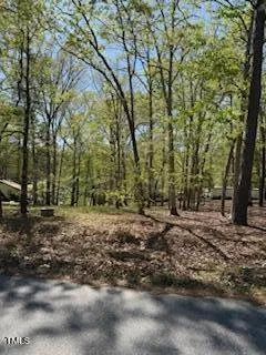 a view of a forest with trees