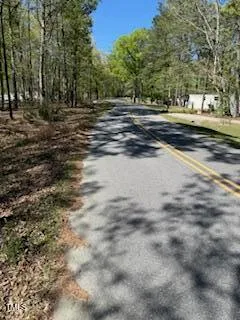 a view of a yard with a large tree