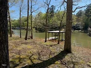 a view of a lake with a tree