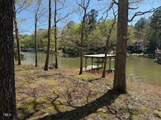 492 Richmond Road Henrico, NC 27842 - Photo 8 of 17 a view of a lake with a tree