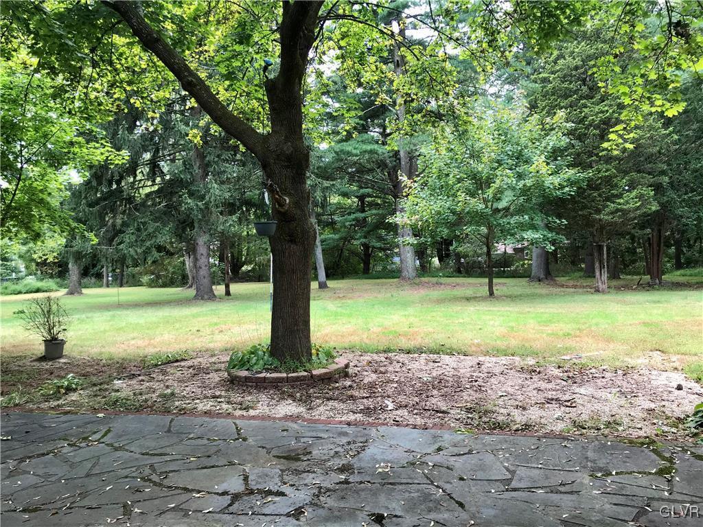 185 Tanite Road Stroudsburg, PA 18360 - Photo 3 of 32 a view of a tree in a park