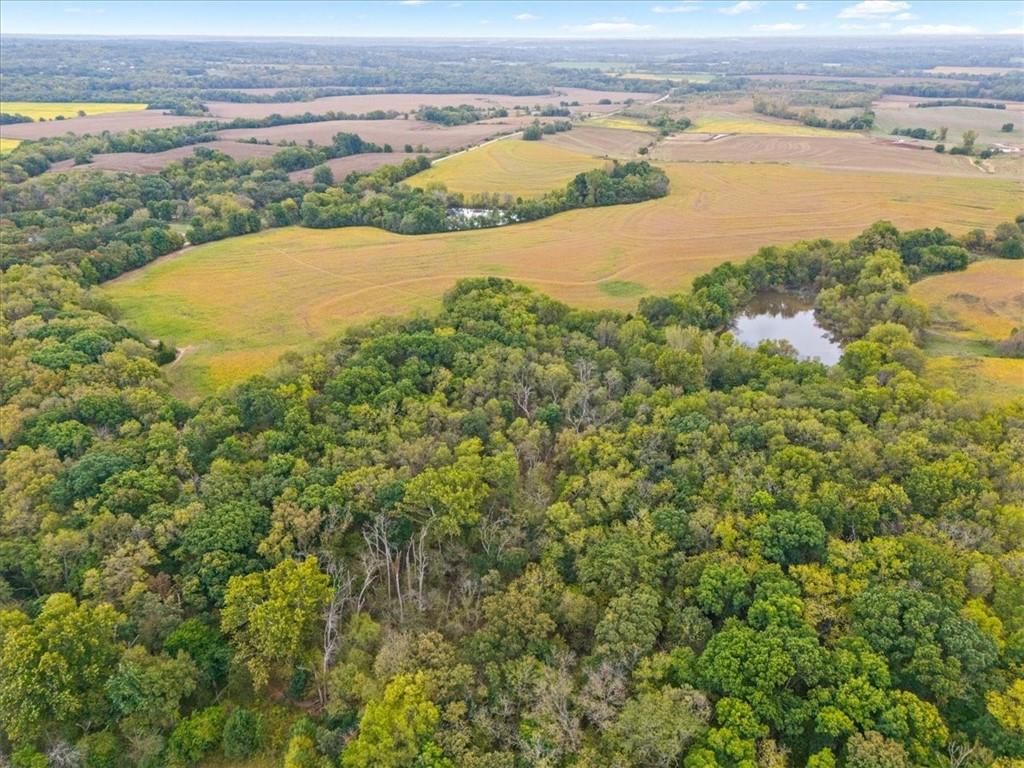 Lot 7 Woodend Road Tonganoxie, KS 66086 - Photo 2 of 4
