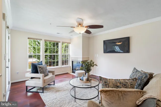 a living room with furniture potted plant and a window
