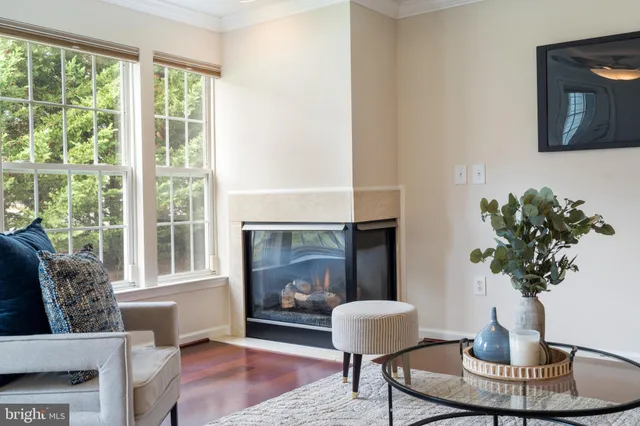a living room with furniture a potted plant and a fireplace