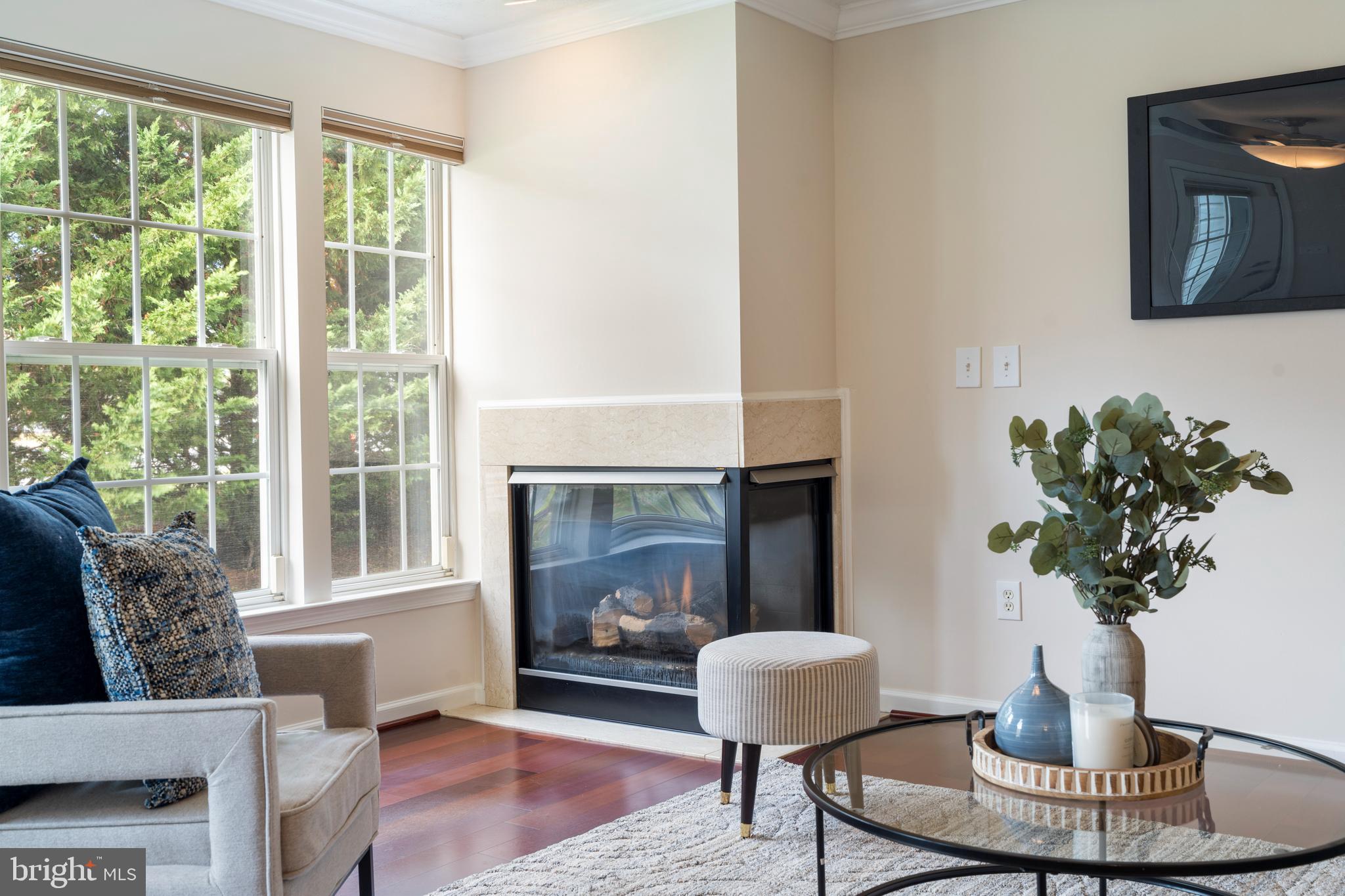 9602 Haven Farm Road, Unit 9602B Perry Hall, MD 21128 - Photo 8 of 37 a living room with furniture a potted plant and a fireplace