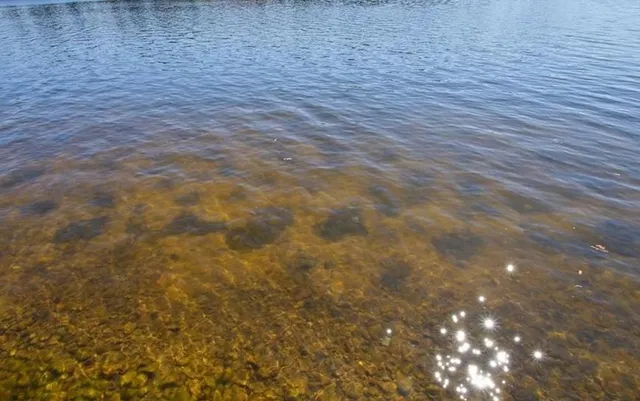 $1,399,500 | 2891 Todd Pk Road, Sarona, WI 54870