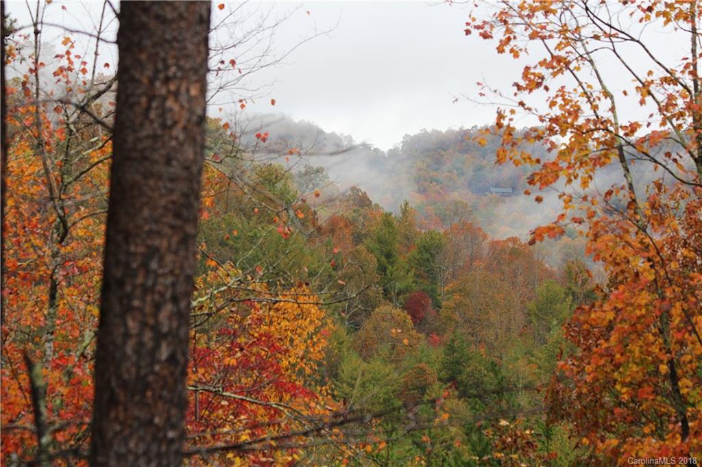 0 Zacks Fork Road Lenoir, NC 28645 - Photo 10 of 23 Gallery Image 10