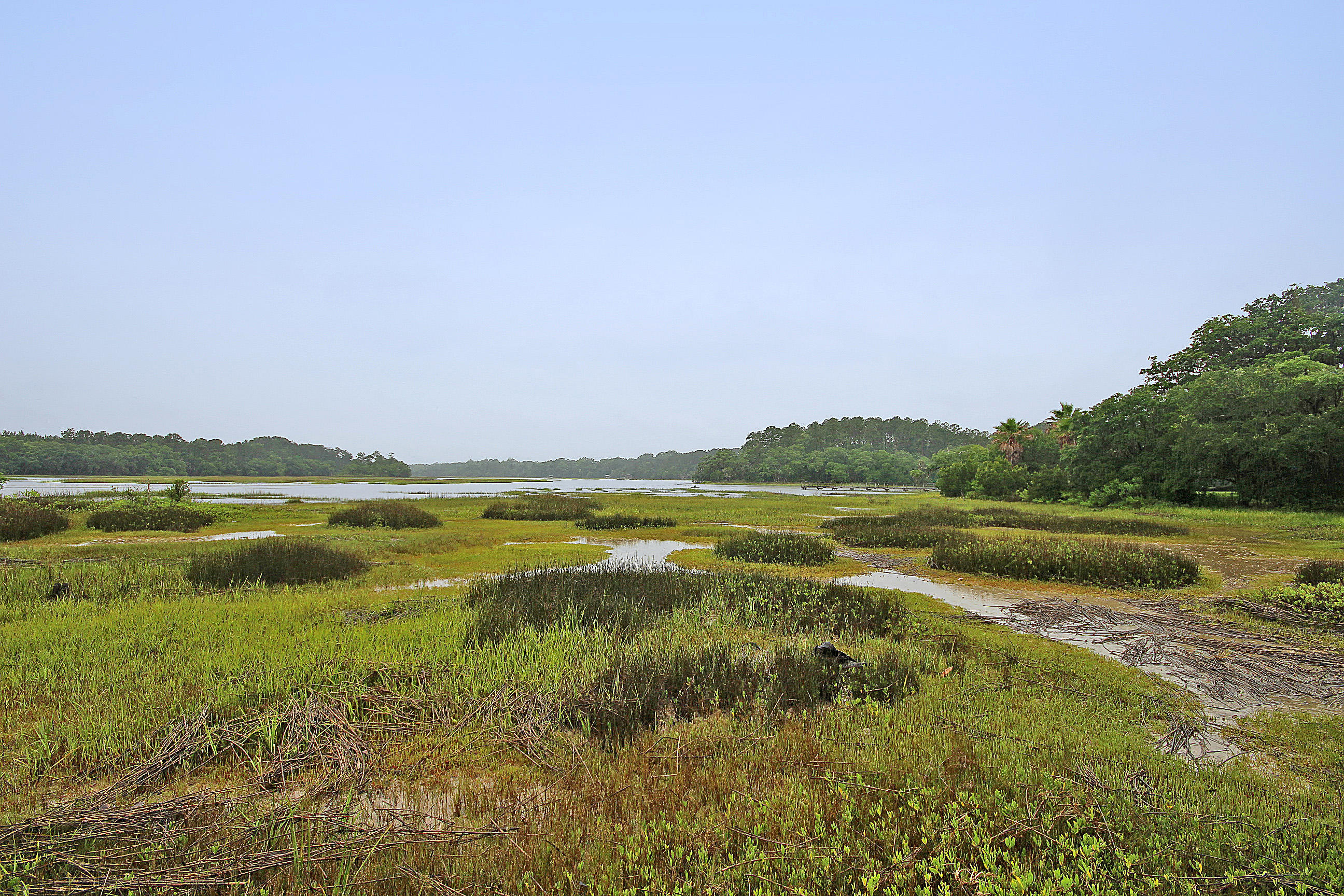 7001 Toogoodoo Road Meggett, SC 29449 - Photo 13 of 98 12 copy