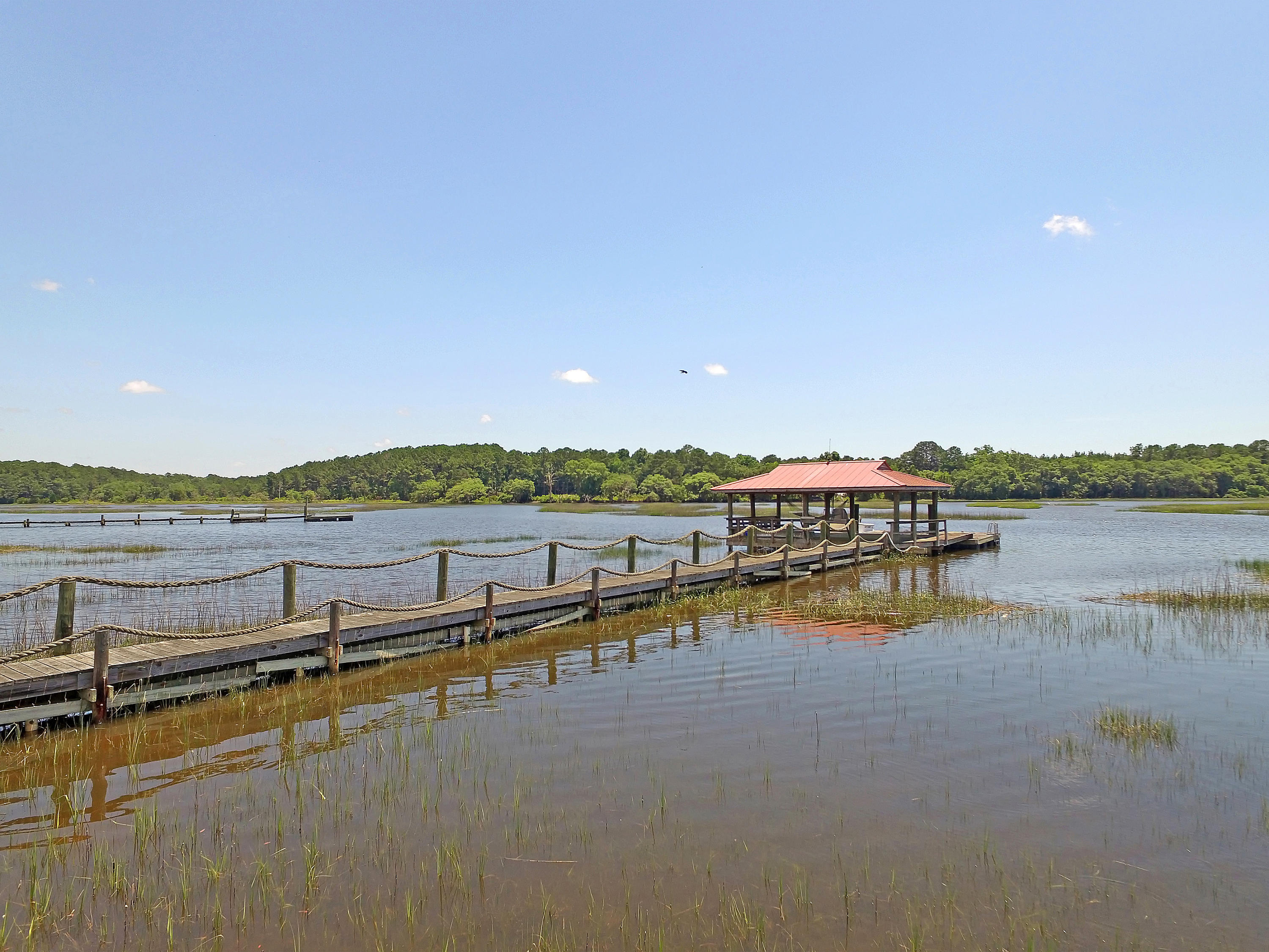 7001 Toogoodoo Road Meggett, SC 29449 - Photo 72 of 98 DJI_0051 copy