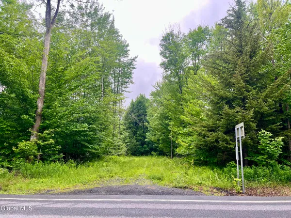 $67,500 | 2285 State Route 10, Jefferson, NY 12093