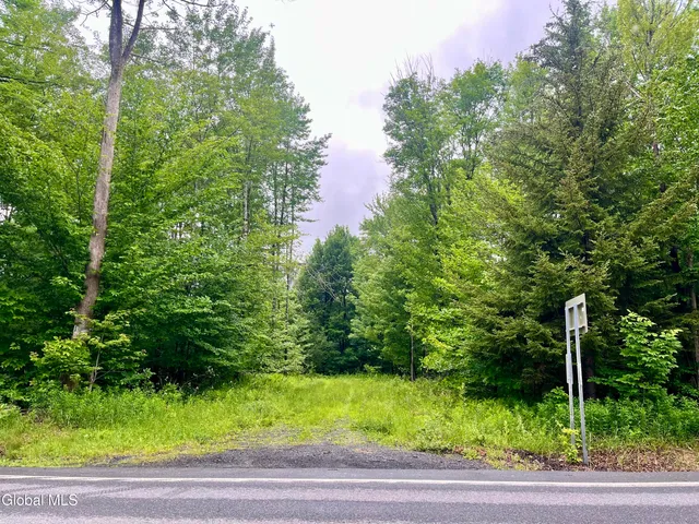 $67,500 | 2285 State Route 10, Jefferson, NY 12093