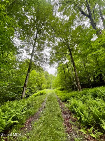 $67,500 | 2285 State Route 10, Jefferson, NY 12093