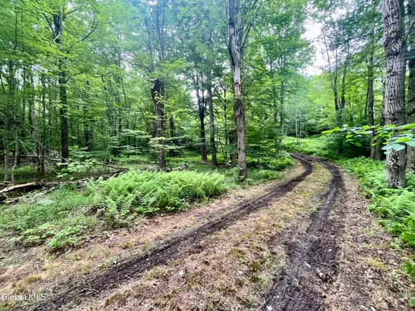 $67,500 | 2285 State Route 10, Jefferson, NY 12093