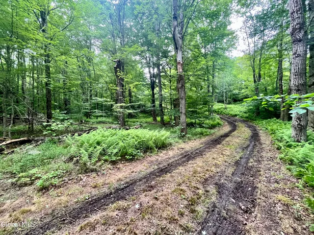 $67,500 | 2285 State Route 10, Jefferson, NY 12093