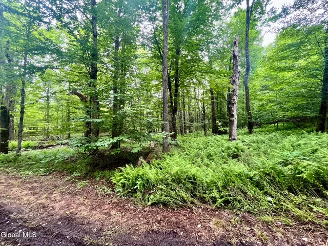 $67,500 | 2285 State Route 10, Jefferson, NY 12093