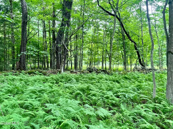 $67,500 | 2285 State Route 10, Jefferson, NY 12093