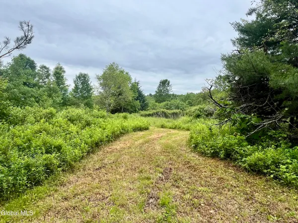 $67,500 | 2285 State Route 10, Jefferson, NY 12093
