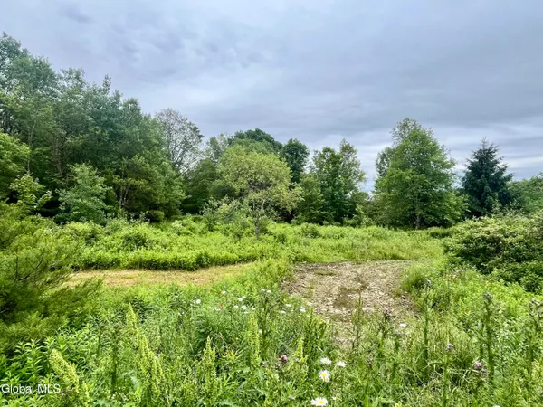 $67,500 | 2285 State Route 10, Jefferson, NY 12093