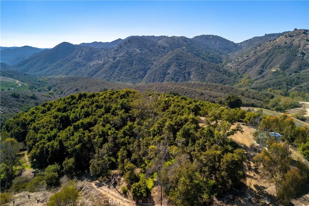 0 Mira Monte Road Fallbrook, CA 92028 - Photo 12 of 23 a view of a forest with mountains in the background