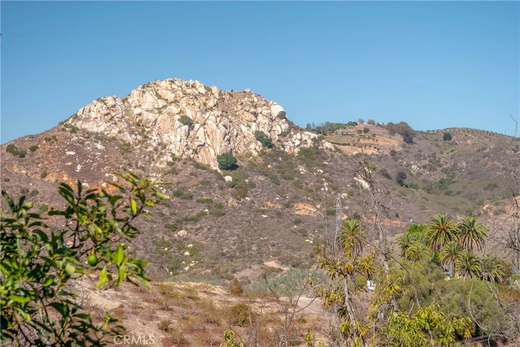 0 Mira Monte Road Fallbrook, CA 92028 - Photo 22 of 23 a view of a large tree in a yard