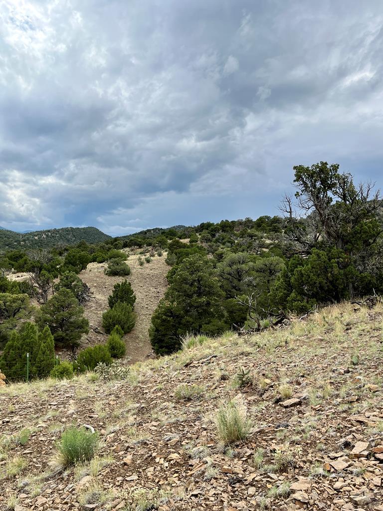 Tbd Ketchum Road Walsenburg, CO 81089 - Photo 10 of 22