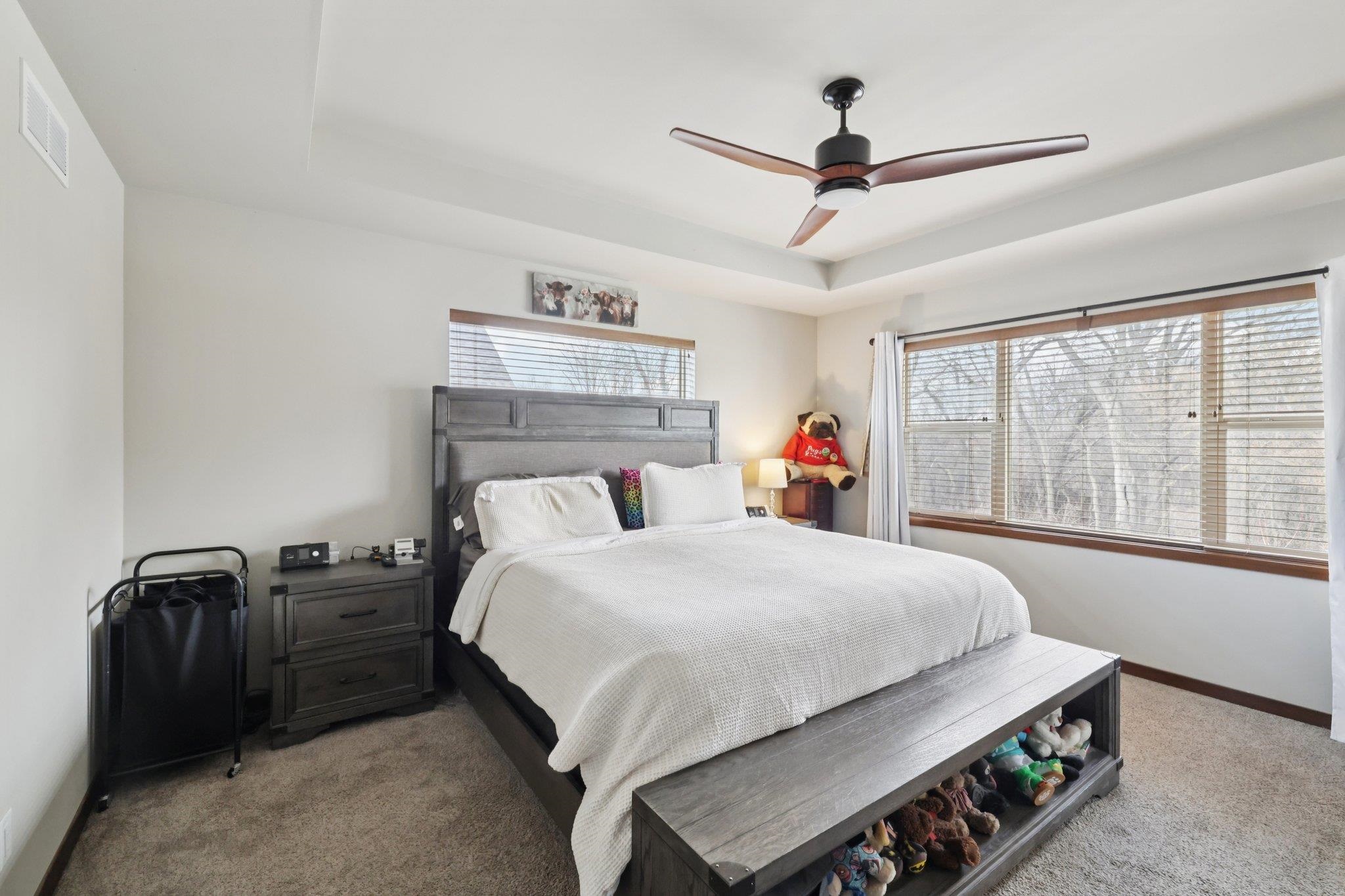 1236 Twisted Branch Way Sun Prairie, WI 53590 - Photo 36 of 56