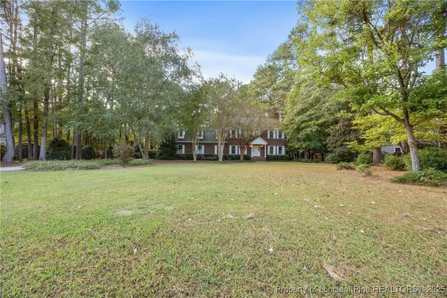 a view of a yard with plants and trees