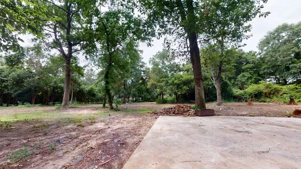 a view of a tree in the middle of a yard