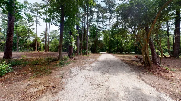 a view of outdoor space with trees