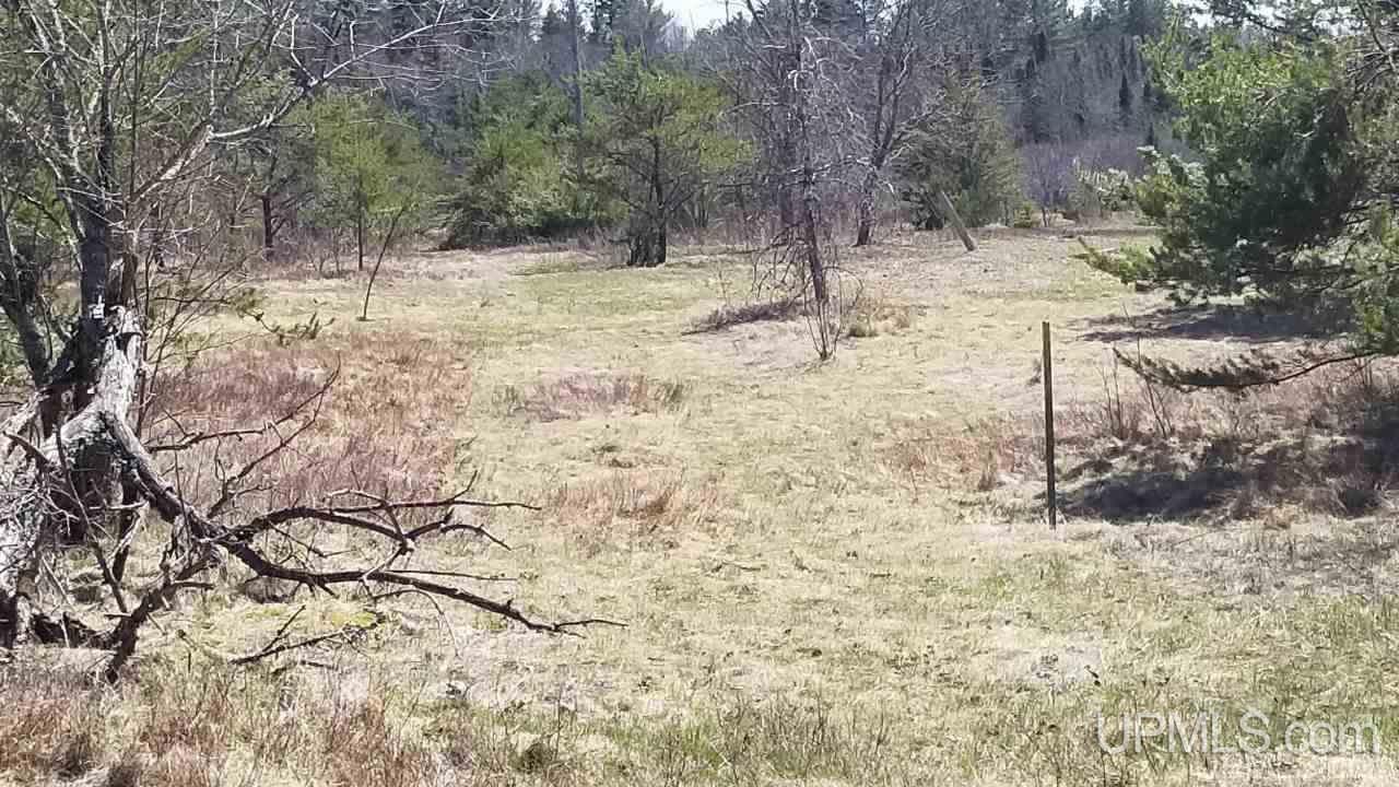 29-acr Pond Road Iron River, MI 49935 - Photo 27 of 29 Gallery Image 27