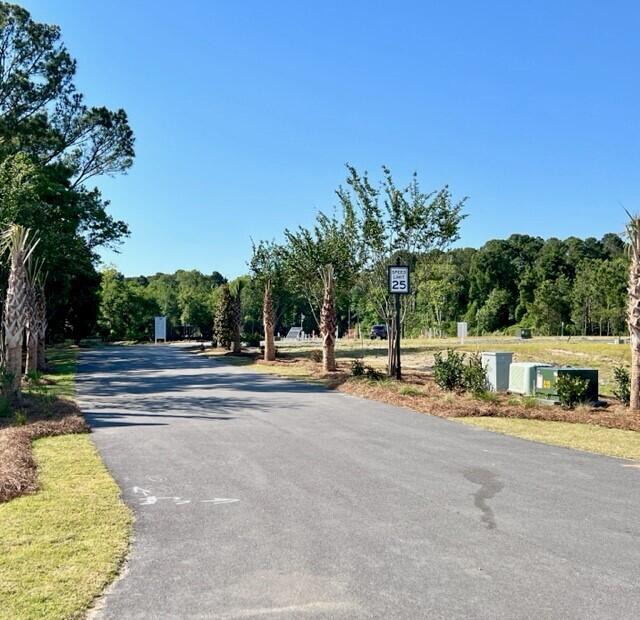 1075 Capersview Court Awendaw, SC 29429 - Photo 43 of 49 Front entrance of community