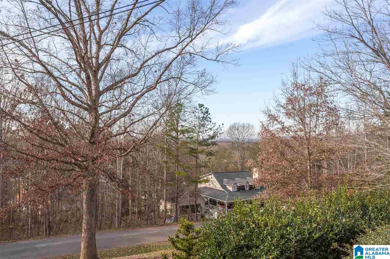 485 Anna Mattison Road Oxford, AL 36203 - Photo 31 of 31