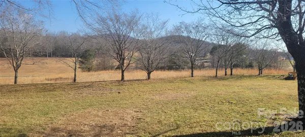 a view of a yard with an trees